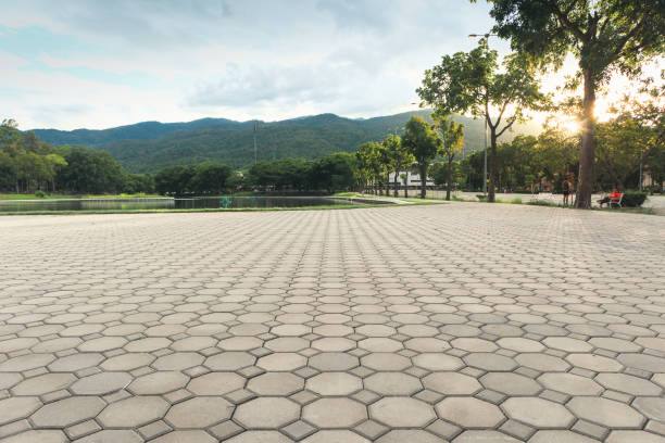 Best Custom Driveway Pavers  in Onalaska, WI